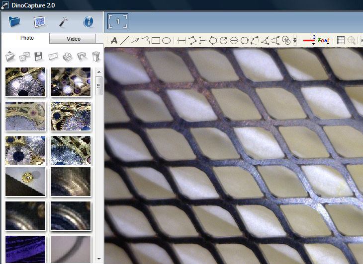 DinoCapture